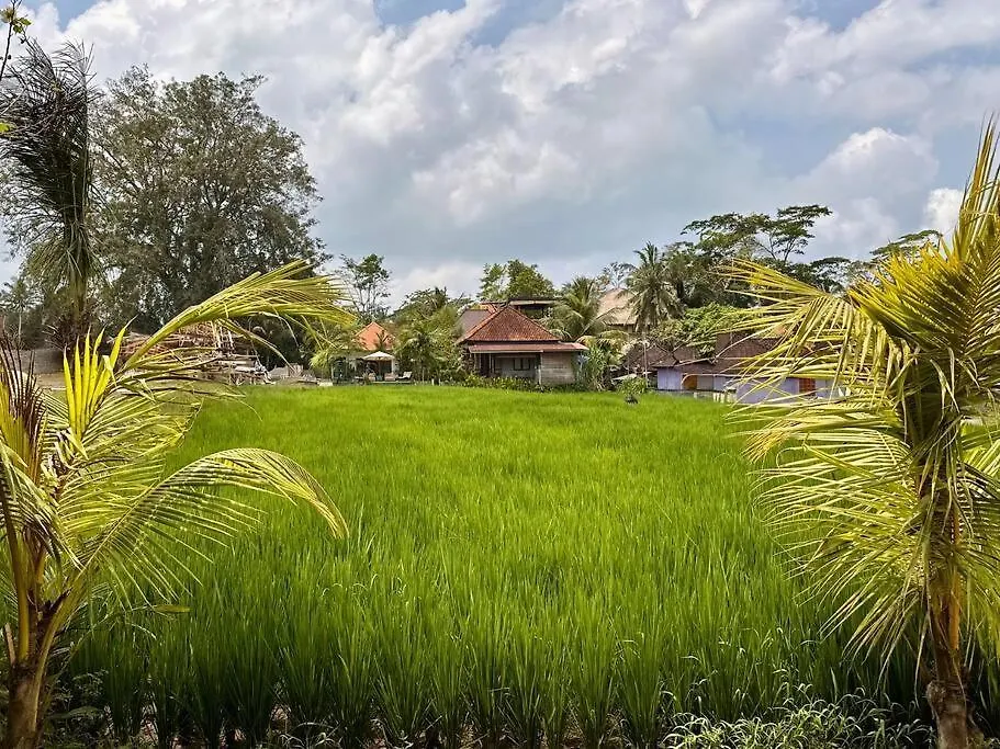 1 Bedroom Villa By The Ricefields Experience - Piko Villa Ubud