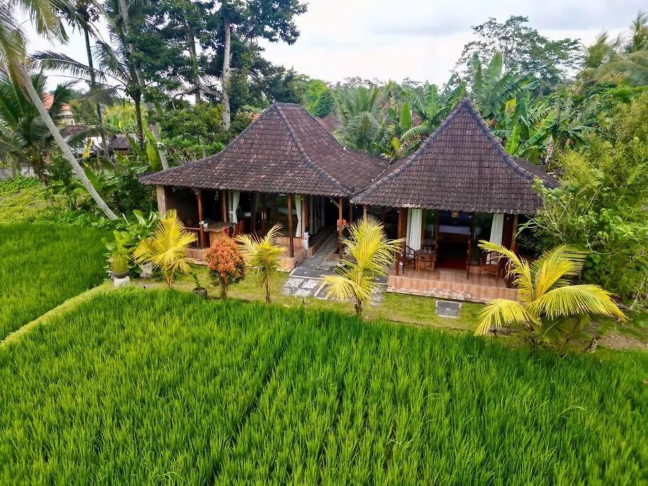 1 Bedroom Villa By The Ricefields Experience - Piko Villa Ubud  Indonesia