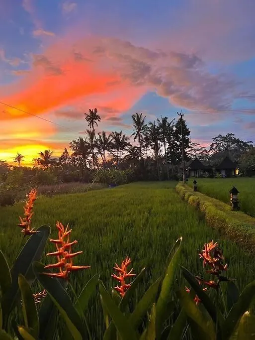 1 Bedroom Villa By The Ricefields Experience - Piko Villa Ubud  Ubud (Bali)